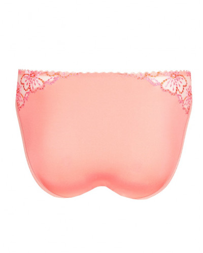 Rio briefs Jane Marie Jo (Florida)