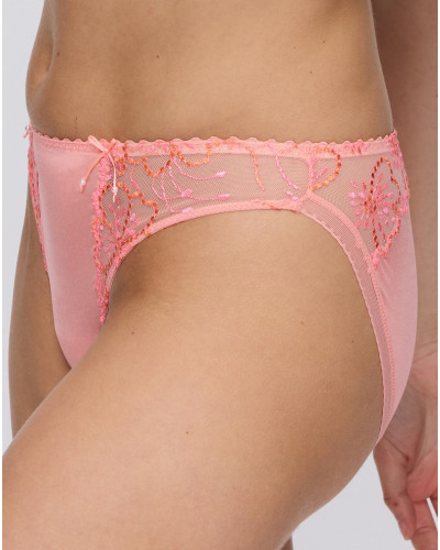 Rio briefs Jane Marie Jo (Florida)
