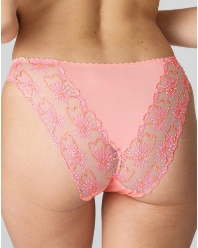 Italian briefs Jane Marie Jo (Florida)