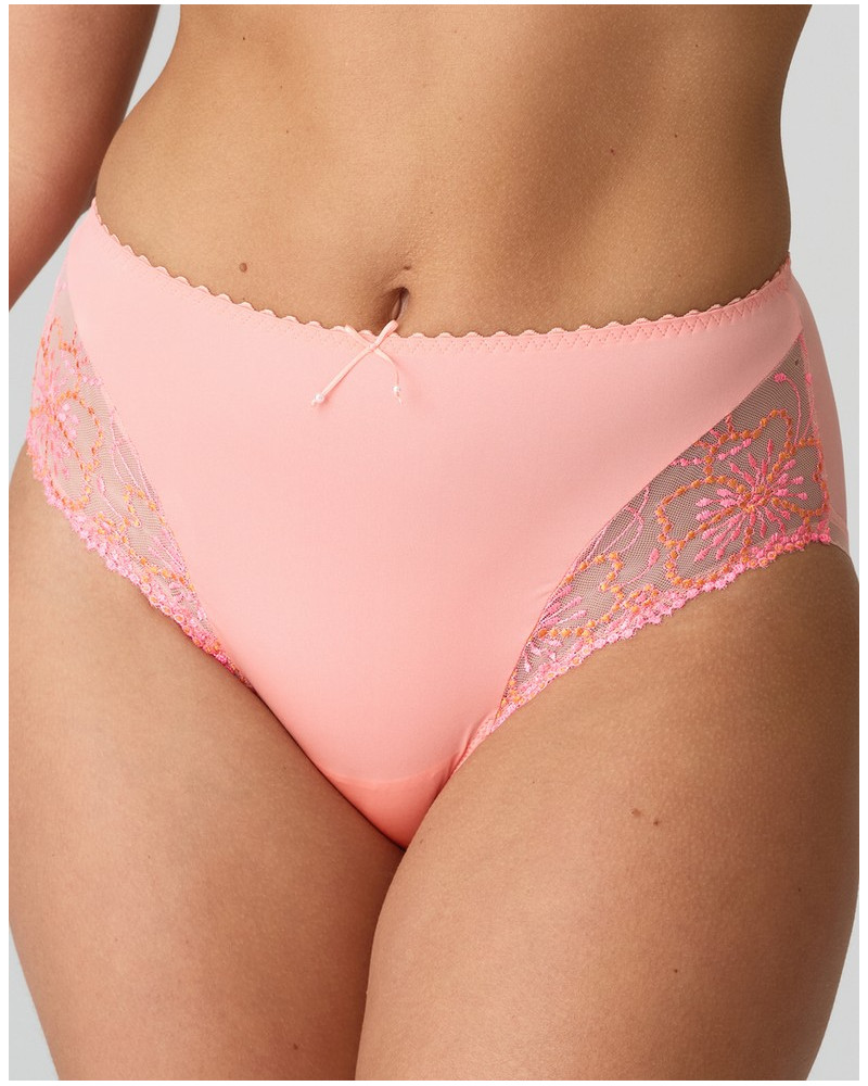 Full briefs Jane Marie Jo (Florida)