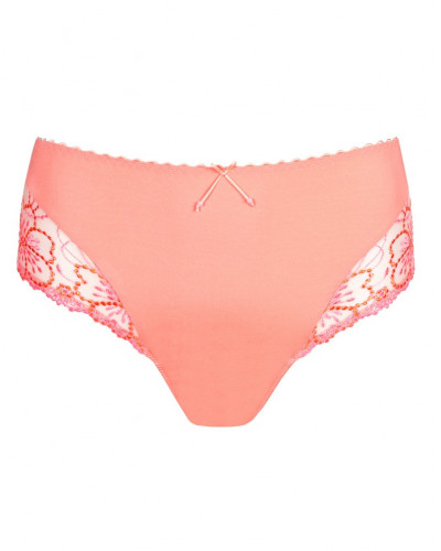 Full briefs Jane Marie Jo (Florida)