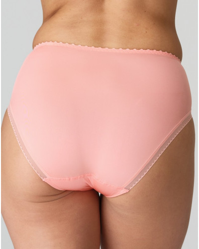 Full briefs Jane Marie Jo (Florida)