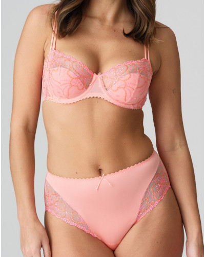 Full briefs Jane Marie Jo (Florida)