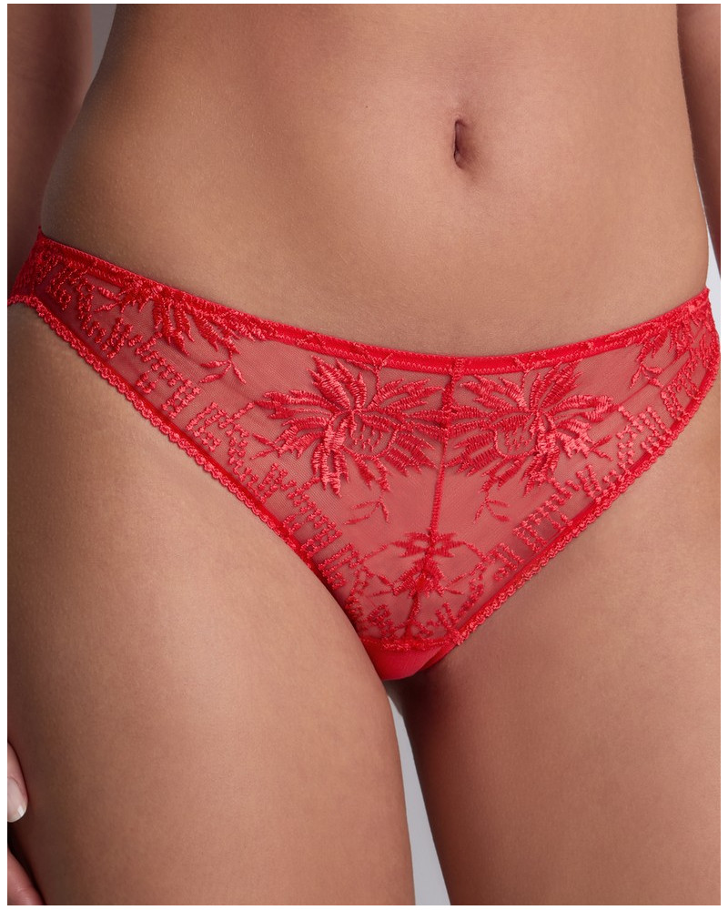 Italian brief Aubade Rules of Attraction (Flame)