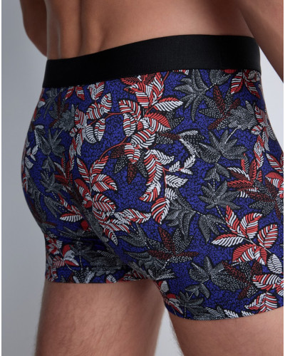 Boxer Aubade Men coton modal (Wax)