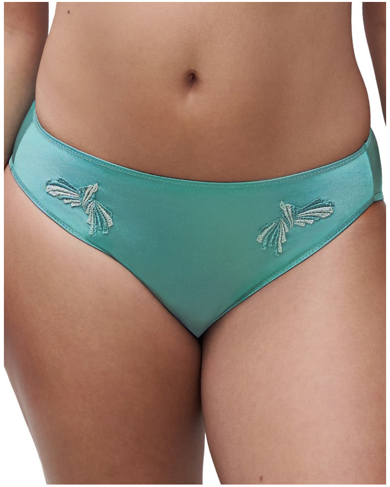 Briefs Chantelle Hedona (New Peacok Lurex)