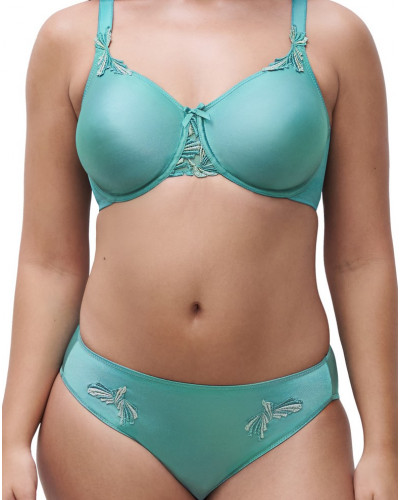 Briefs Chantelle Hedona (New Peacok Lurex)