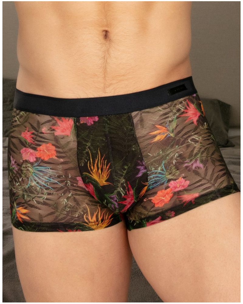 Lace boxer HOM Exotica (Multicolore)