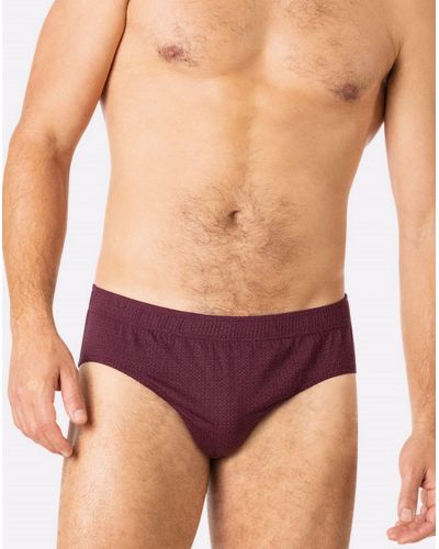 Lot de 3 slips 100% Coton Eminence (Bordeaux/Ciel/Marine)