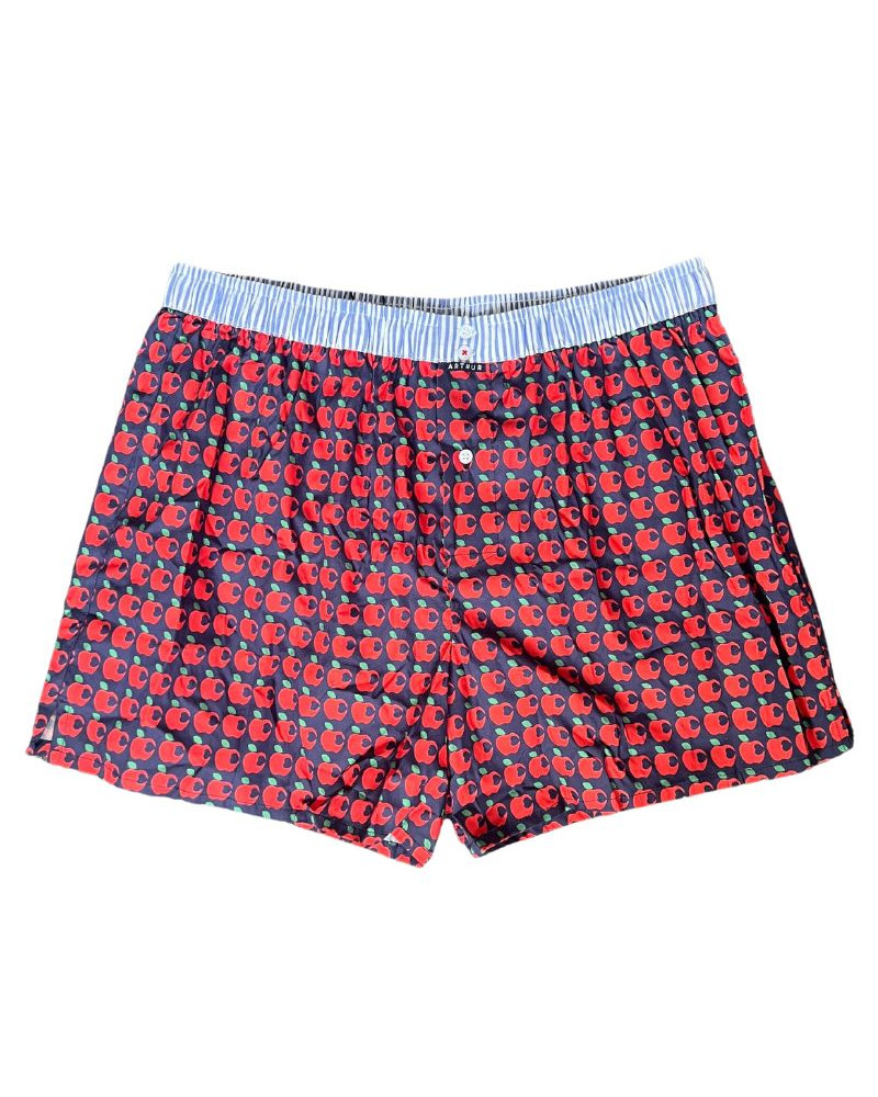 Caleçon à suspensoir 100% coton bio 1149 Arthur (Multicolore)