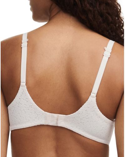 Soutien-gorge coque enveloppant Chantelle Norah (Talc)