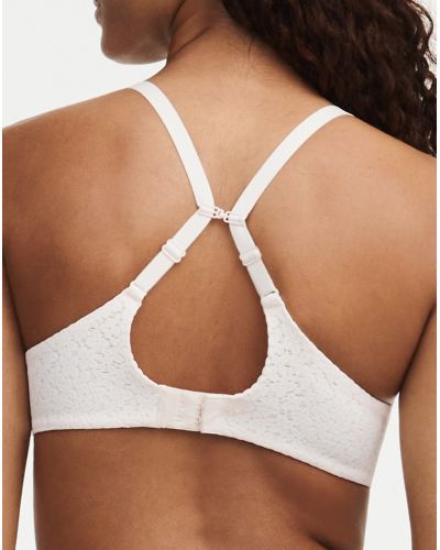 Padded Bra Chantelle Norah (Talc)