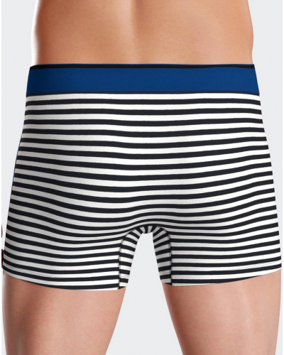 Shorty en jersey Eden Park H73 (NB039)