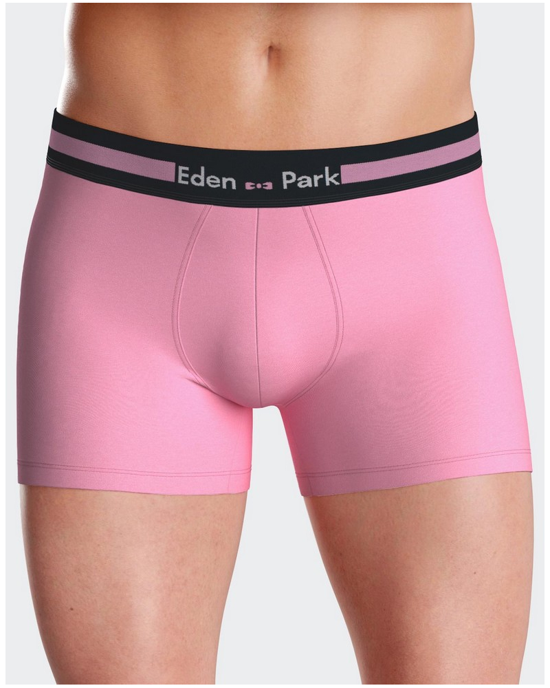 Shorty jersey Eden Park H75 (PKD85)