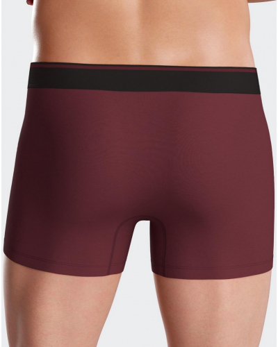 Shorty in jersey Eden Park H77 (BD021)