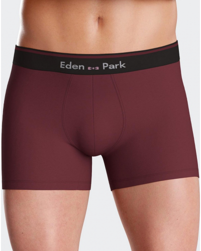 Shorty jersey Eden Park H77 (BD021)