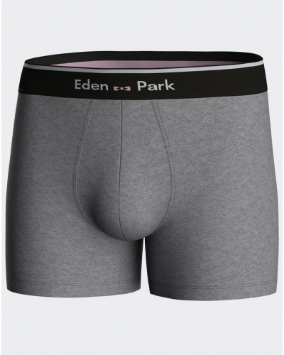 Shorty Eden Park H77 (MX927)