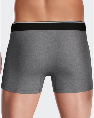 Shorty Eden Park H77 (MX927)