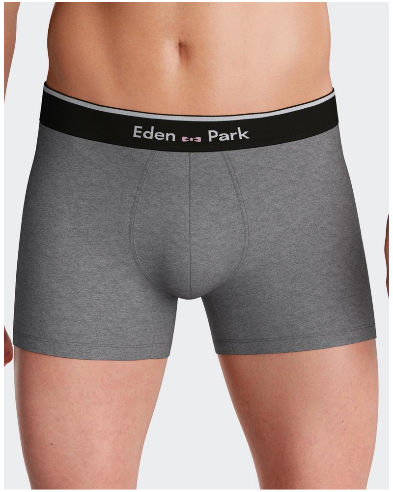 Shorty Eden Park H77 (MX927)