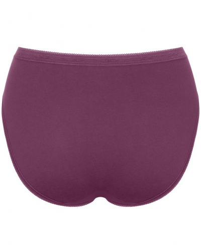 Lote de 3 calzoncillos tai Sloggi Basic + (Multicolore)