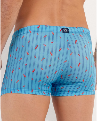 Shorty de baño HOM Espelette (Turquoise imprimé)