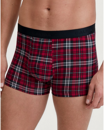 Boxer Calida Family & Friends (Rio Red)