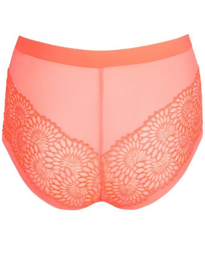 Shorty Prima Donna Sophora (Spritz)