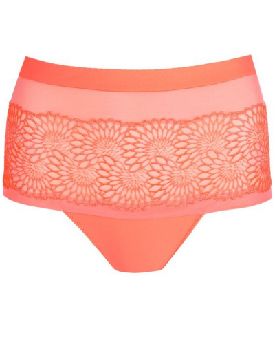 Shorty Prima Donna Sophora (Spritz)