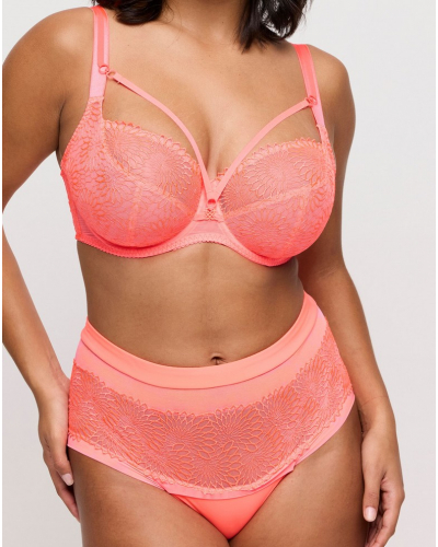 Shorty Prima Donna Sophora (Spritz)