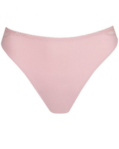 String Prima Donna Salerno (Spring Rose)