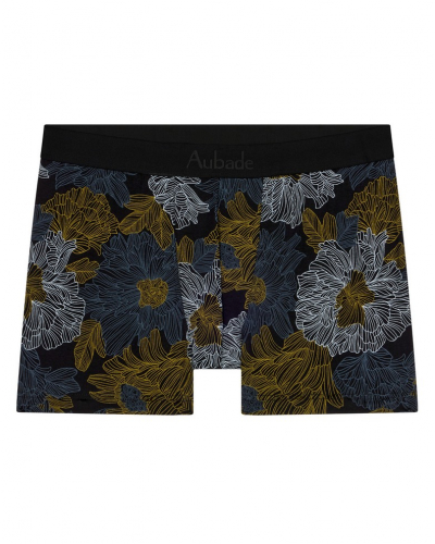 Boxer Aubade Men (East of eden)