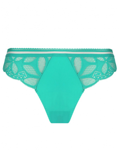 Brief Antigel Stricto Sensuelle (Stricto Vert)