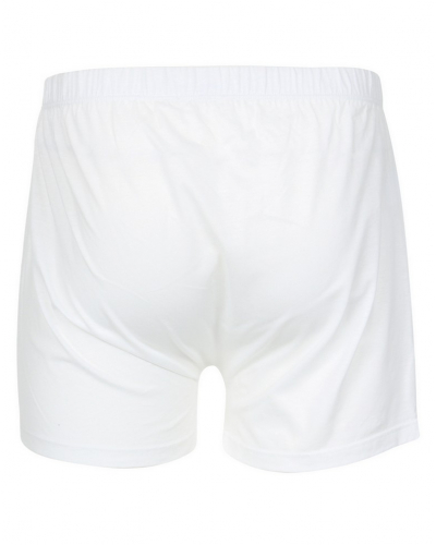 Floating shorts Eminence in 100% Egyptian cotton Luxor.