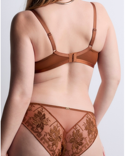 Italian briefs Aubade Rules of Attraction (Golden Shadow)