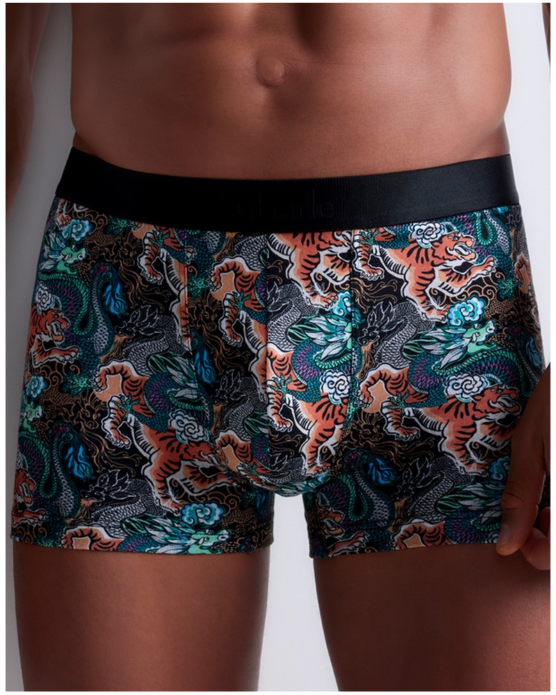 Boxer short Aubade Men (Tiger & Dragon)