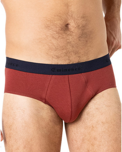 Paquete de 2 slips de algodón Eminence Daily Made In France (Marinière/Bleu Cobalt)