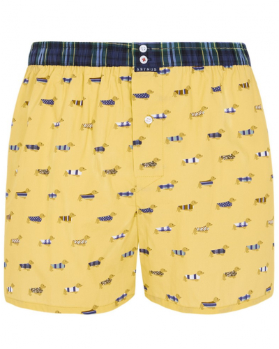 Boxer calzoncillo suspensorio 100% algodón orgánico Arthur (Amarillo)