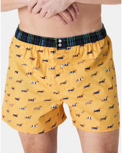 Boxer briefs to jockstrap 100% organic cotton Arthur (Yellow)