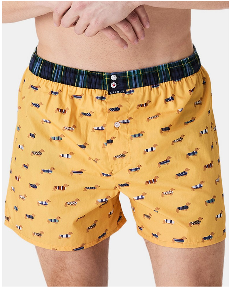 Boxer briefs to jockstrap 100% organic cotton Arthur (Yellow)
