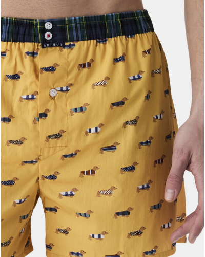 Boxer calzoncillo suspensorio 100% algodón orgánico Arthur (Amarillo)