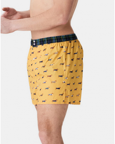 Boxer briefs to jockstrap 100% organic cotton Arthur (Yellow)