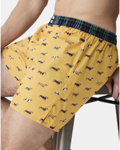 Boxer calzoncillo suspensorio 100% algodón orgánico Arthur (Amarillo)