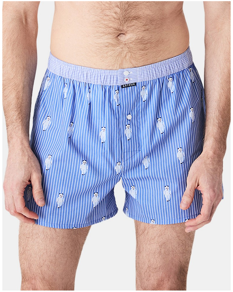 Boxer briefs to jockstrap 100% organic cotton Arthur (Roi)