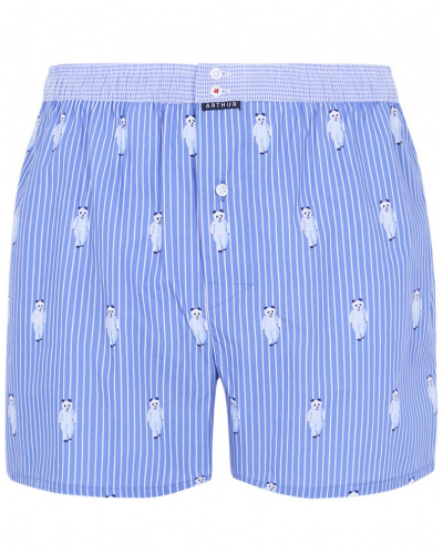 Boxer briefs to jockstrap 100% organic cotton Arthur (Roi)