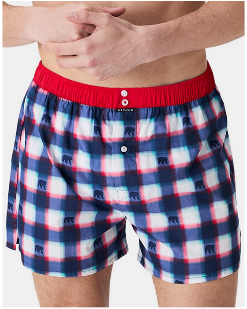 Boxer briefs to jockstrap 100% organic cotton Arthur (Multicolore)