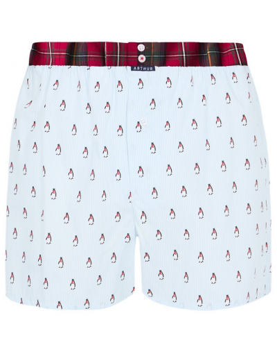 Boxer calzoncillo suspensorio 100% algodón orgánico Arthur (Lagon)