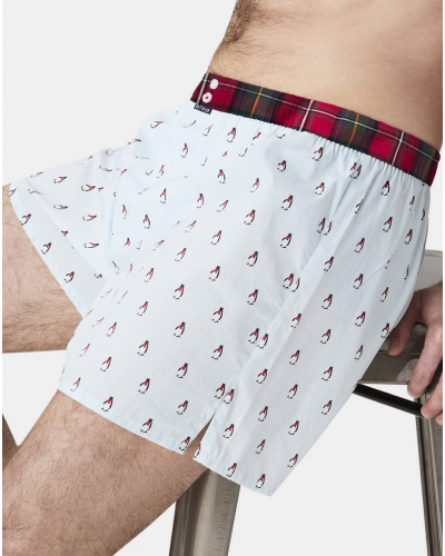 Boxer calzoncillo suspensorio 100% algodón orgánico Arthur (Lagon)