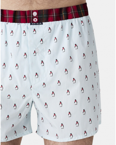 Boxer calzoncillo suspensorio 100% algodón orgánico Arthur (Lagon)