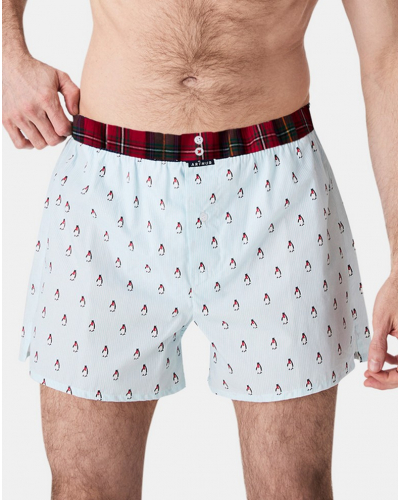 Boxer calzoncillo suspensorio 100% algodón orgánico Arthur (Lagon)