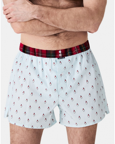 Boxer calzoncillo suspensorio 100% algodón orgánico Arthur (Lagon)